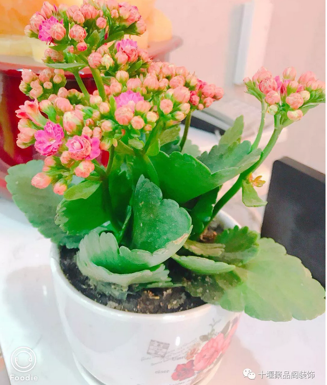 1523258205318435.png blob.png