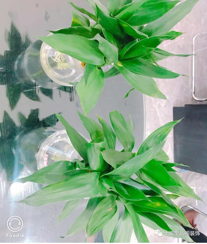 1523258422173805.png blob.png